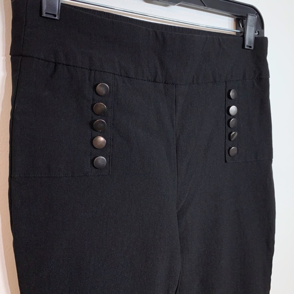 EUC The Limited Stretchy Slip On Flat Front Pants